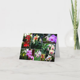 Orchideeën Bedankkaart