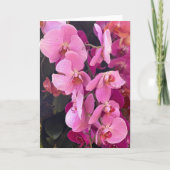 Orchideeën Blank Note Kaart (Voorkant)