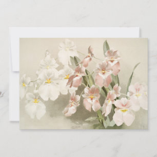 Orchideeën bloem oude illustratie kaart