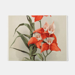 Orchideeën Blooming Flower Old Illustration Deurmat