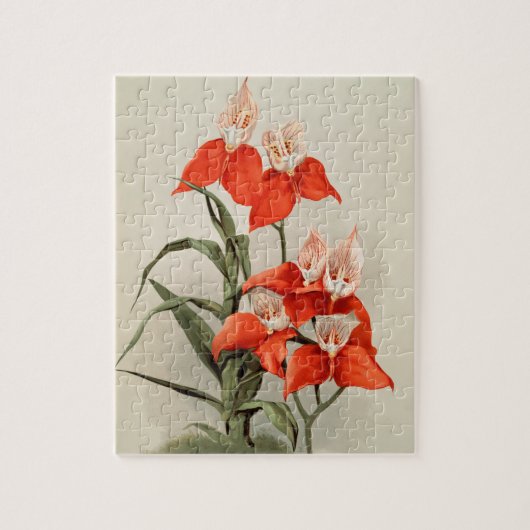 Orchideeën Blooming Flower  Old Illustration Legpuzzel (Verticaal)