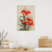 Orchideeën Blooming Flower  Old Illustration Poster (Keuken)