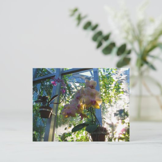 Orchideeën Briefkaart (Staand voorkant)