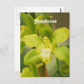 Orchideeën Briefkaart (Voorkant / Achterkant)