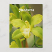 Orchideeën Briefkaart (Voorkant)