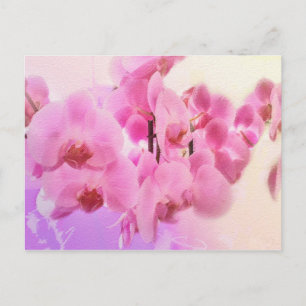 orchideeën. briefkaart