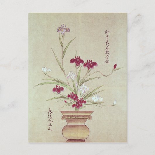 Orchideeën Briefkaart (Voorkant)