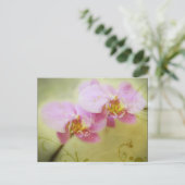 Orchideeën Briefkaart (Staand voorkant)