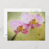 Orchideeën Briefkaart (Voorkant / Achterkant)