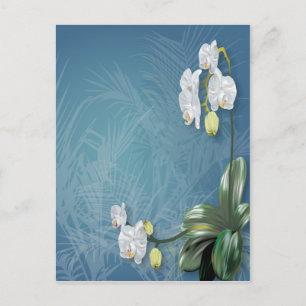 Orchideeën en Ferns Briefkaart