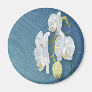 Orchideeën en Ferns Magneet