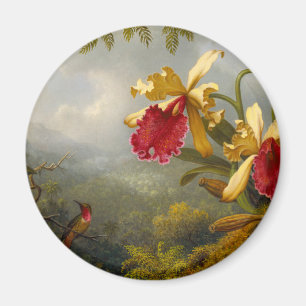 Orchideeën en kolibrie kop magneet