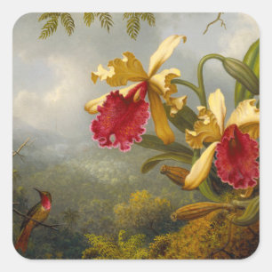 Orchideeën en kolibrie kop vierkante sticker