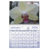 Orchideeën fotografie kalender (Jan 2026)