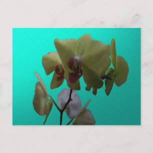 Orchideeën: Geel en wit Briefkaart