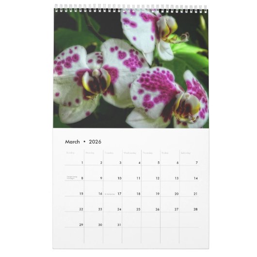 Orchideeën Kalender (Mar 2026)