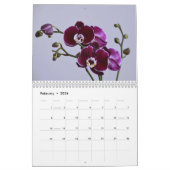 Orchideeën Kalender (Feb 2026)
