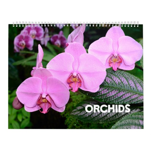Orchideeën-kalender van 12 maanden kalender (Hoes)