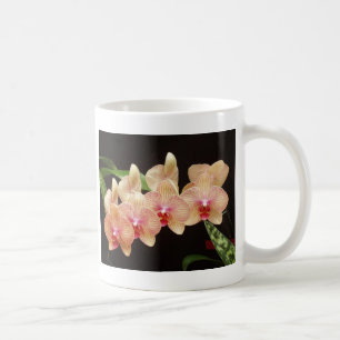 Orchideeën. Koffiemok