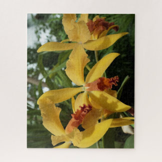 Orchideeën Legpuzzel