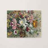 Orchideeën Legpuzzel (Horizontaal)