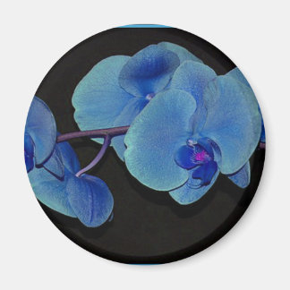 Orchideeën Magneet
