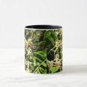 Orchideeën Mok (Midden)