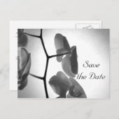Orchideeën op het stoomhuwelijk sparen de Datum Aankondigingskaart (Voorkant / Achterkant)