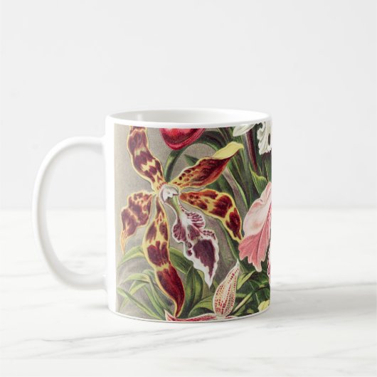 Orchideeën, Orchideae Denusblumen, door Ernst Haec Koffiemok (Links)