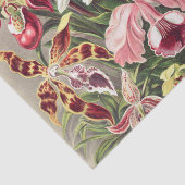 Orchideeën, Orchideae Denusblumen, door Ernst Haec Tissuepapier (Detail)