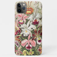 Orchideeën, Orchideae Denusblumen door Ernst Haeck