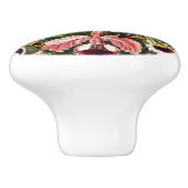 Orchideeën, Orchideae Denusblumen Ernst Haeckel Keramische Knop (Zijkant)