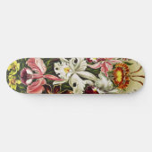 Orchideeën, Orchideae Denusblumen Ernst Haeckel Skateboard (Horizontaal)