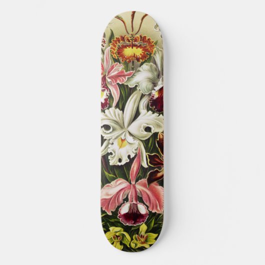 Orchideeën, Orchideae Denusblumen Ernst Haeckel Skateboard (Voorkant)