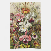 Orchideeën, Orchideae Denusblumen Ernst Haeckel  Theedoek (Verticaal)