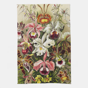 Orchideeën, Orchideae Denusblumen Ernst Haeckel  Theedoek