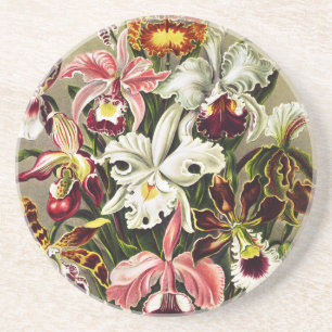Orchideeën, Orchideae Denusblumen Ernst Haeckel Zandsteen Onderzetter