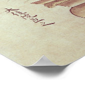 Orchideeën Poster (Hoek)