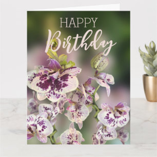 Orchideeën Tropische Bloemen Gelukkige Verjaardag Kaart