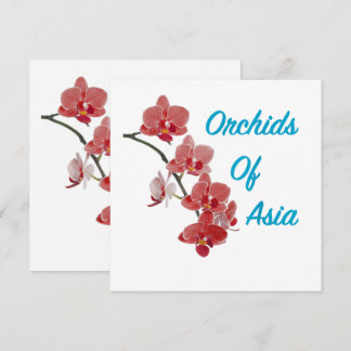 Orchideeën van Azië Dagspa