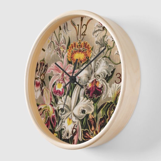 Orchideeën van Ernst Haeckel (Hoek)