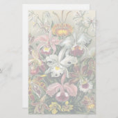 Orchideeën van Ernst Haeckel Briefpapier (Voorkant / Achterkant)