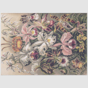 Orchideeën van Ernst Haeckel Decoupage Tissuepapier