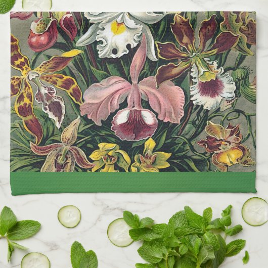Orchideeën van Ernst Haeckel Theedoek (Gevouwen)