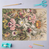 Orchideeën van Ernst Haeckel Tissuepapier (Craft)
