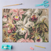 Orchideeën van Ernst Haeckel Tissuepapier (Craft)