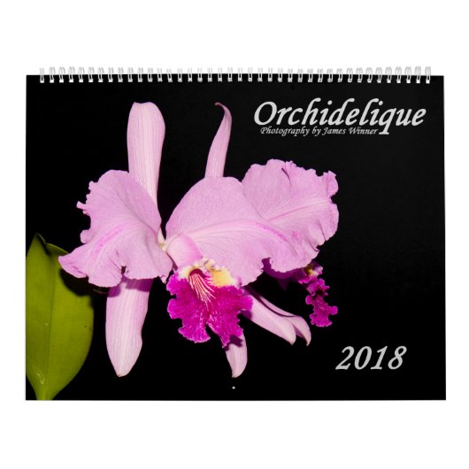 Orchideeën van Orchidelique Kalender (Hoes)