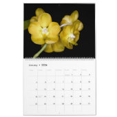 Orchideeën van Orchidelique Kalender (Jan 2026)