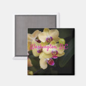 Orchideeën van roze en geel, Washington D.C. Magneet (Voorkant / Achterkant)