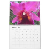 Orchideeën van Scott S. Jones Kalender (Feb 2026)